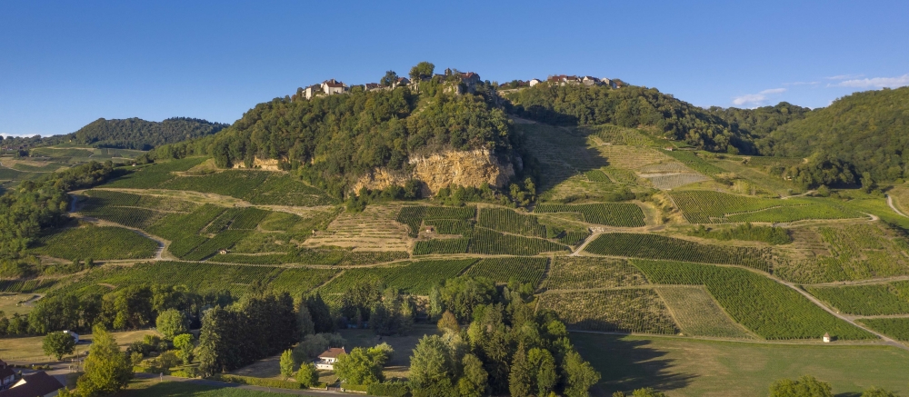 chateau chalon cignes