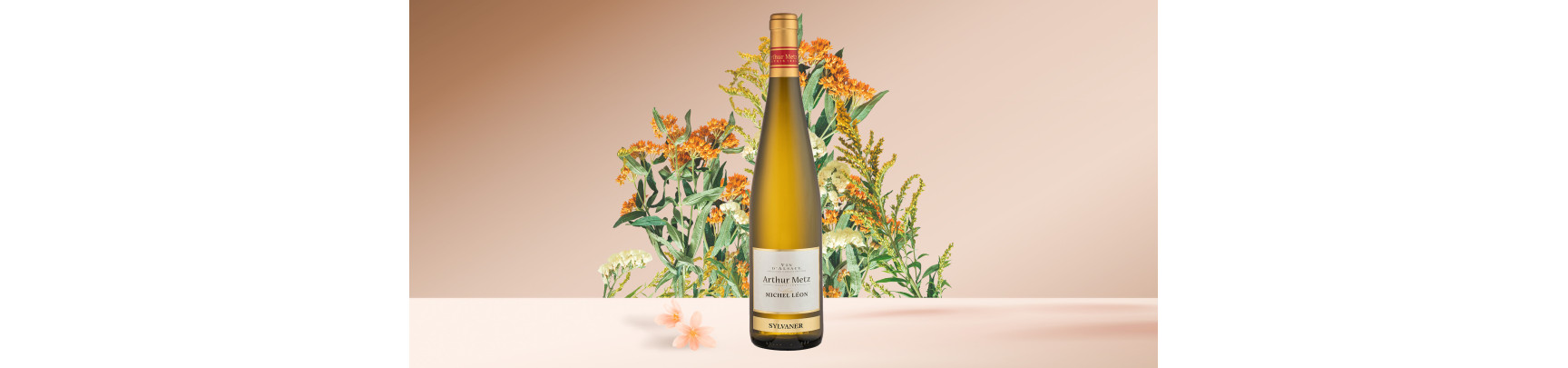 Vin Blanc d'Alsace Sylvaner | Arthur Metz